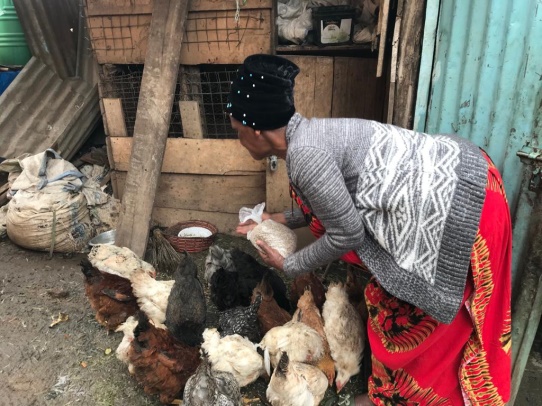 Urban agriculture among housing cooperative members